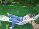 animation.gif image by renren32